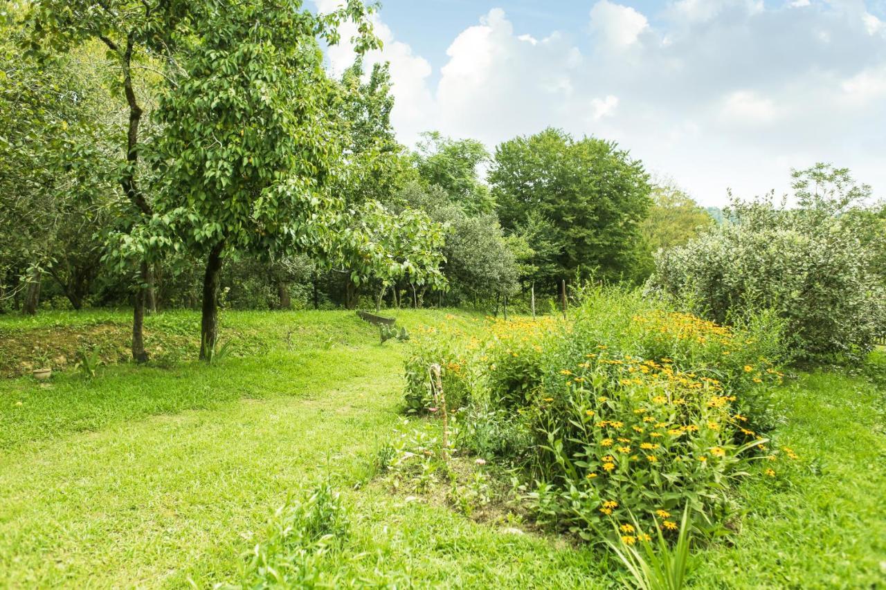 Bed and Breakfast Daraselia61 Zugdidi Zewnętrze zdjęcie