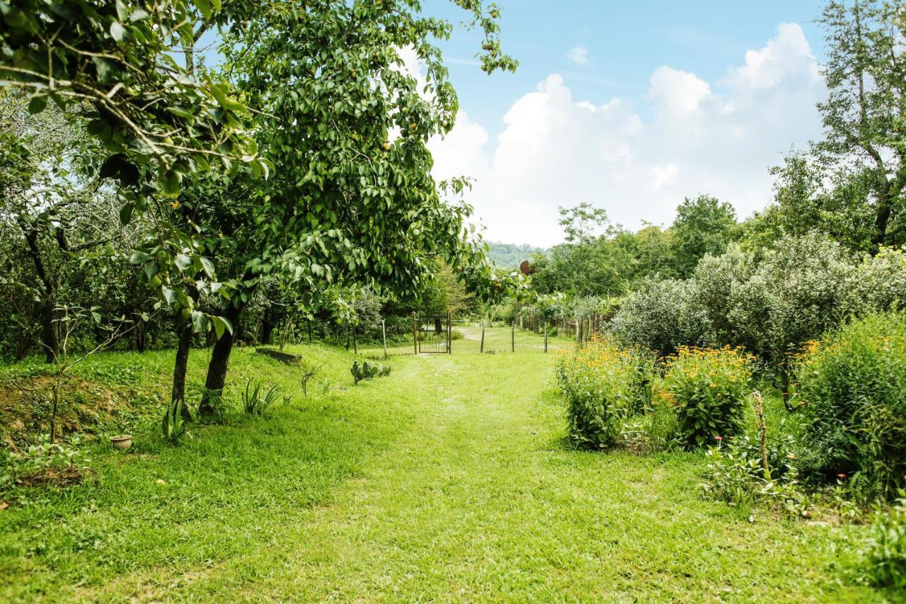 Bed and Breakfast Daraselia61 Zugdidi Zewnętrze zdjęcie
